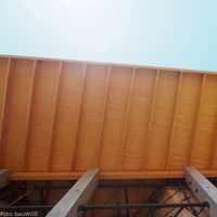 bauWiSE Tragwerksplanung mehrgeschossiger Holzbau GK5